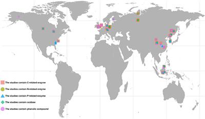 Phenolic compounds weaken the impact of drought on soil enzyme activity in global wetlands